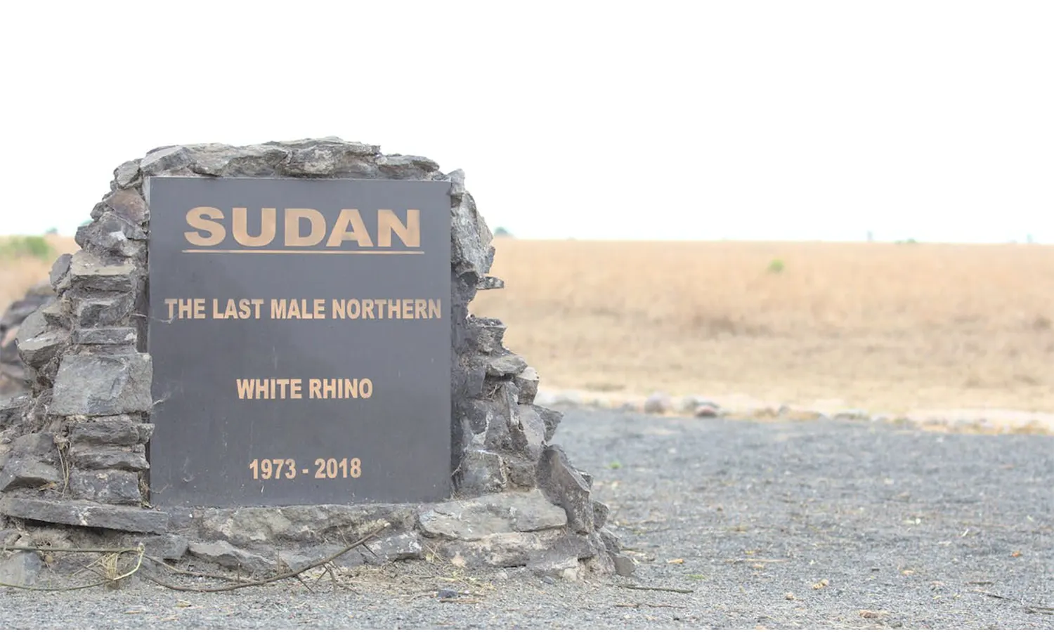 850 WNI Dievakuasi dari Sudan, DPR: Mayoritas Mahasiswa