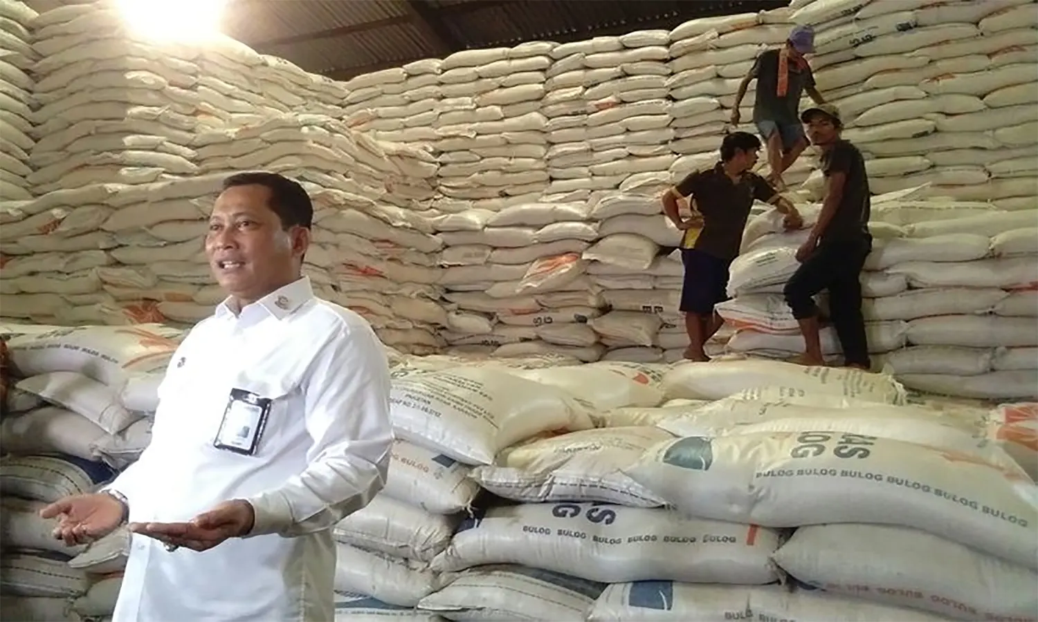 Buwas Janji Bulog Bakal Serap 1 Juta Ton Beras Petani Saat Panen Raya