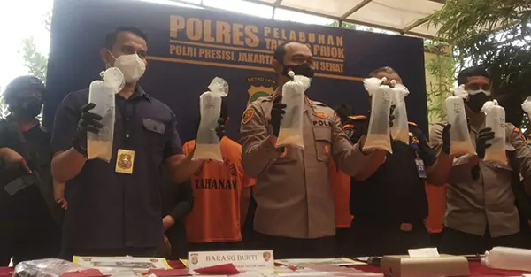 Penyeludupan Benih Lobster Digagalkan Kepolisiian 