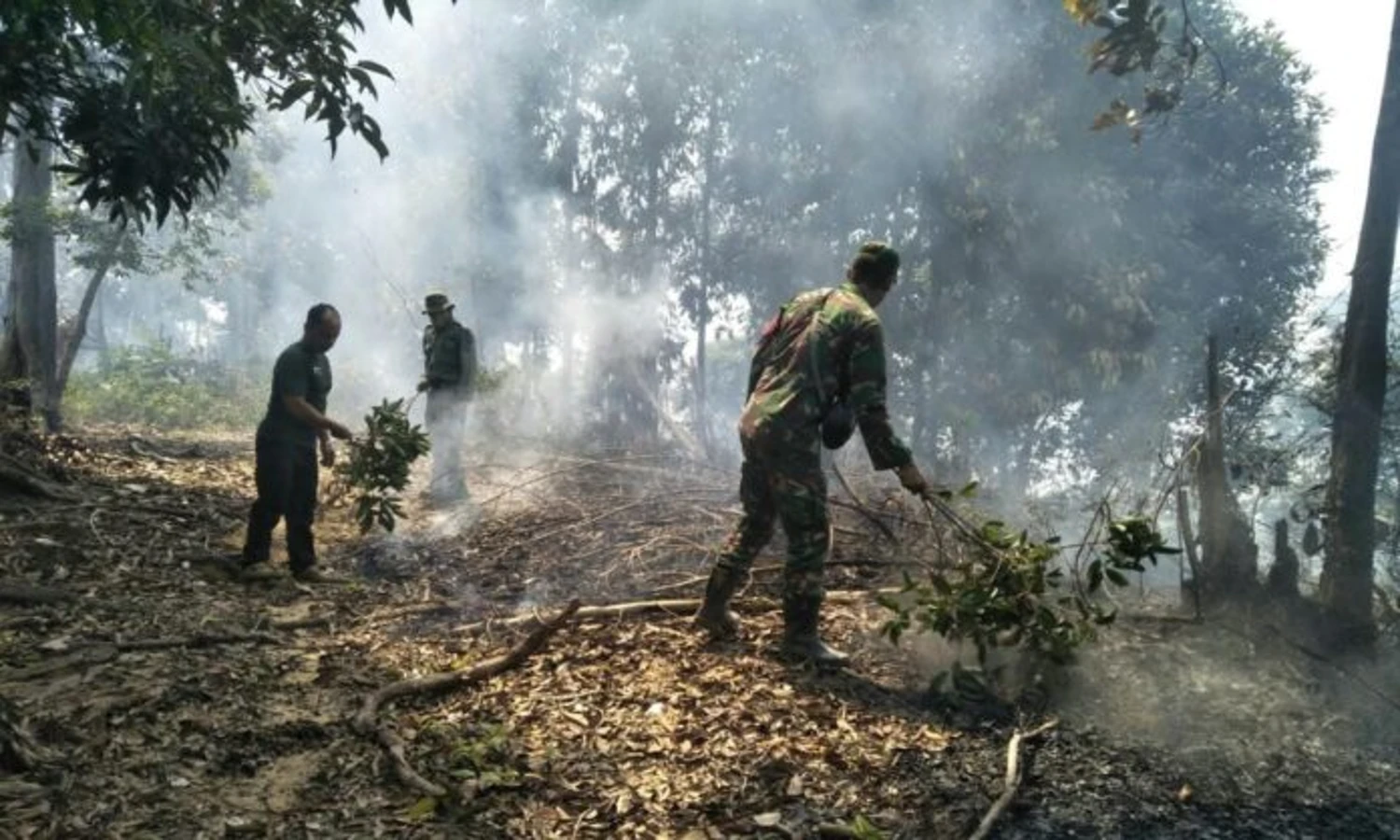 10 Hektar Kawasan Hutan Produksi di Palas Ludes Dilahap Sijago Merah