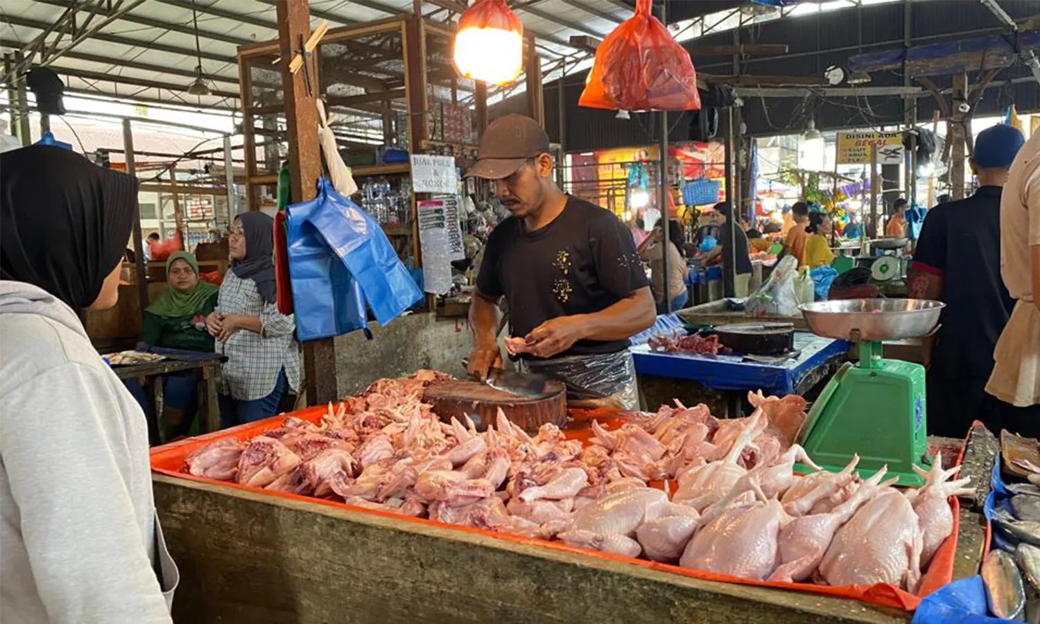 Pengamat: Pakan dan El Nino Sebabkan Harga Ayam Potong di Medan Naik, Bobby Klaim Tak Berani Kasih Solusi