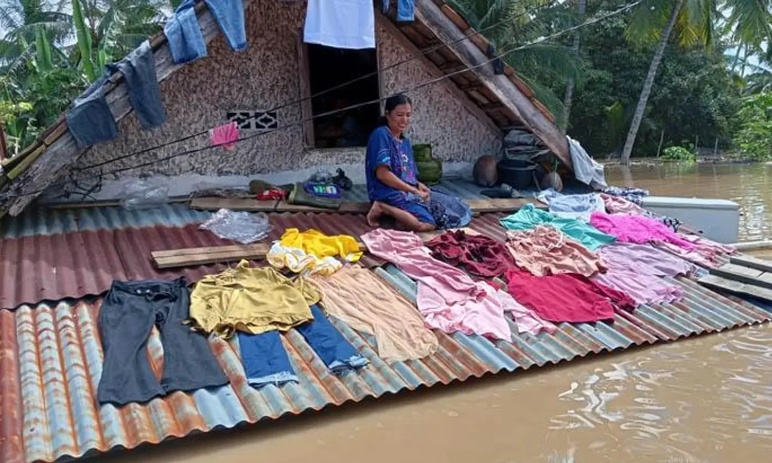 6 Jenis Banjir di Indonesia, Penyebab dan Cara Mengatasinya