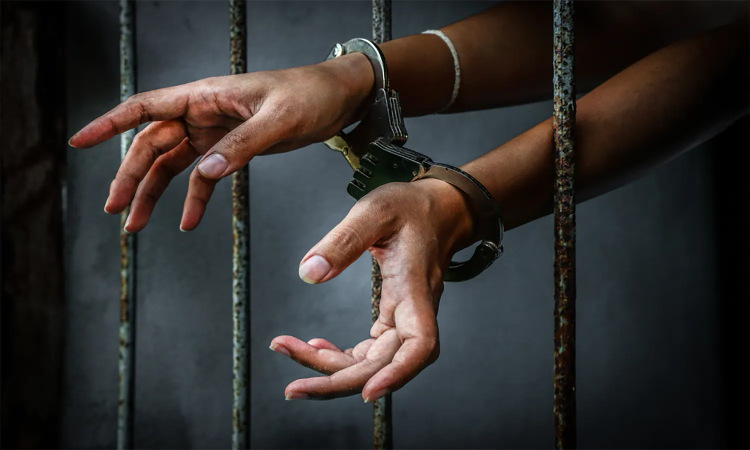 Terlibat Kasus Penghasutan, Anggota DPRD Langkat Dibekuk Polisi