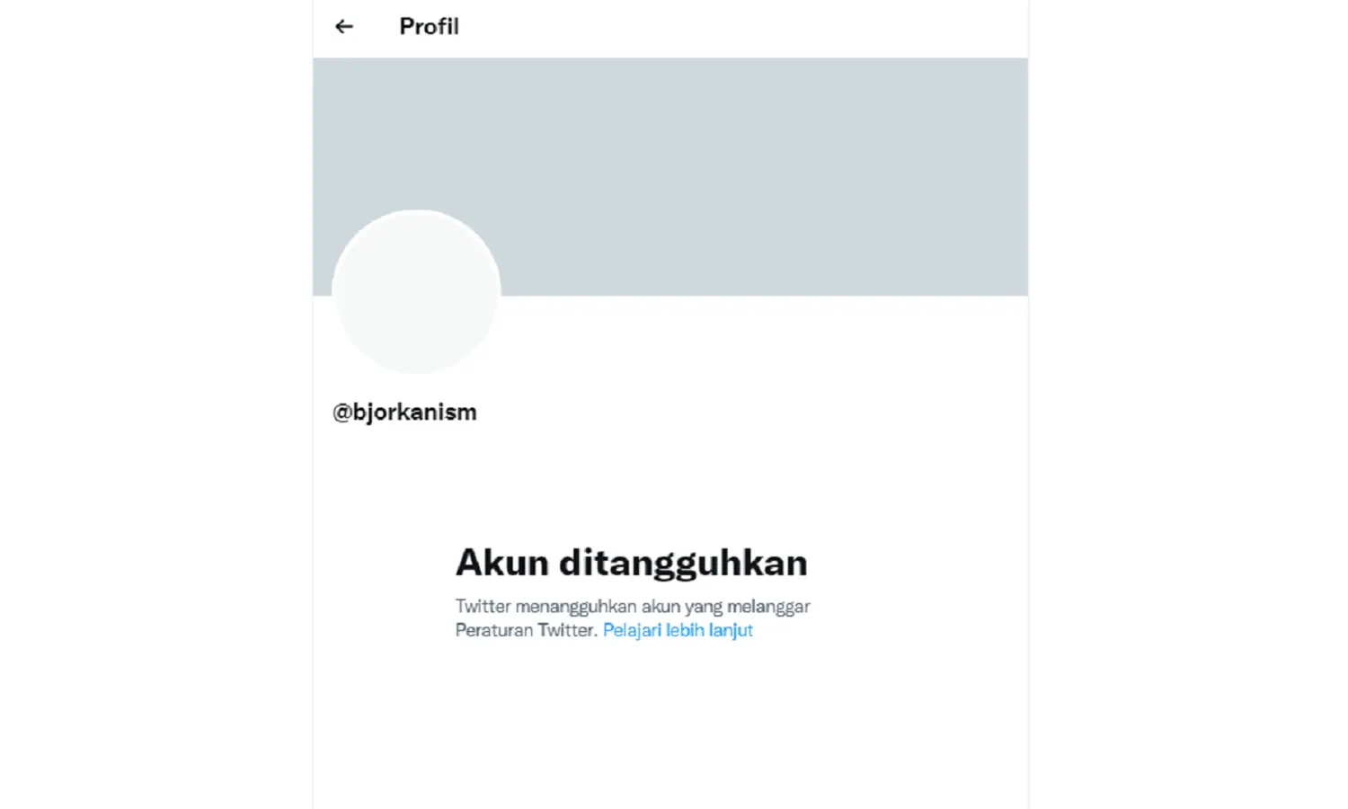 Setelah Sentil Puan, Erick Thohir dan Denny Siregar, Akun Twitter Bjorka Mendadak Ditangguhkan