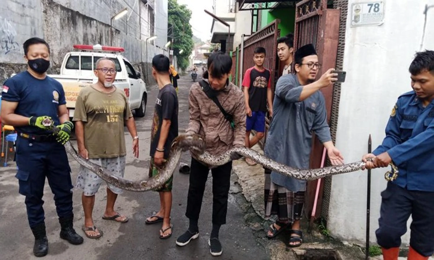 Musim Ular Bertelur, Damkar Minta Warga Depok Waspadai Lingkungan