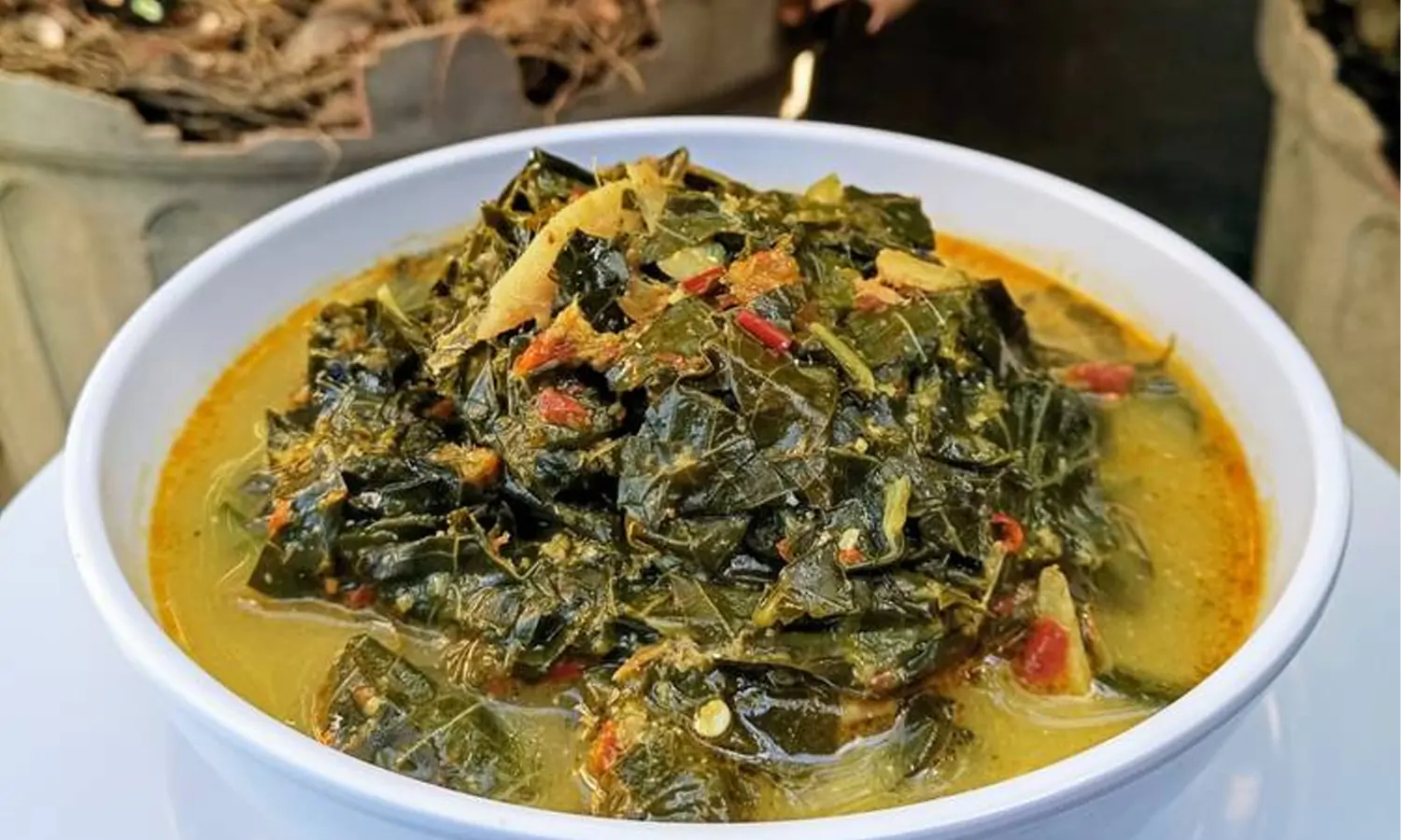 Resep Sayur Daun Singkong Nasi Padang