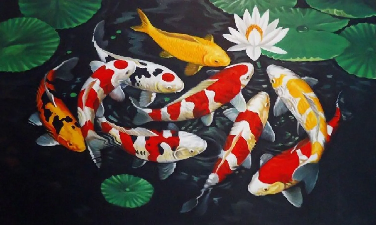 Arti Lukisan Ikan Koi Dipajang di Rumah Menurut Fengshui
