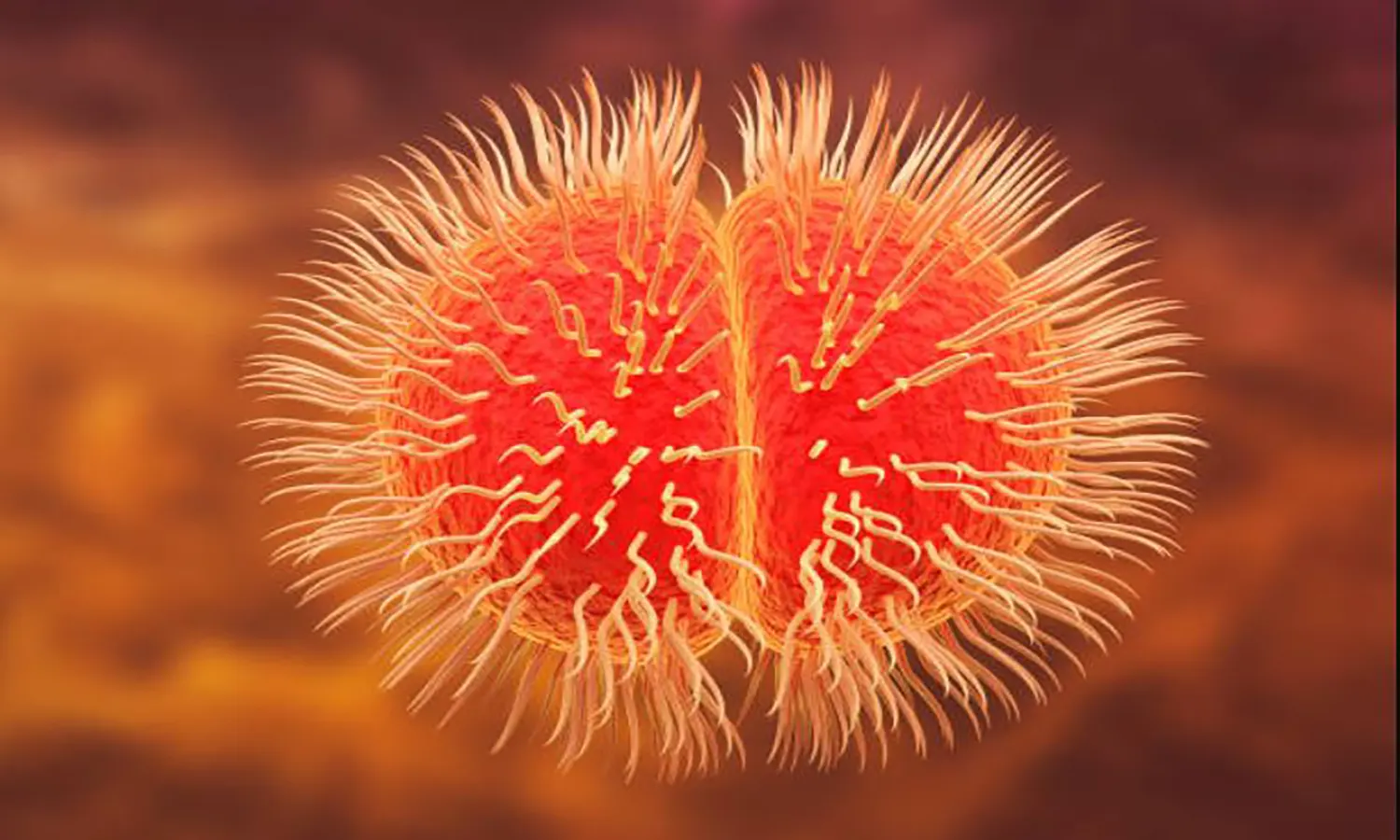 Wabah Meningokokus Muncul di Virginia, 5 Orang Meninggal Dunia