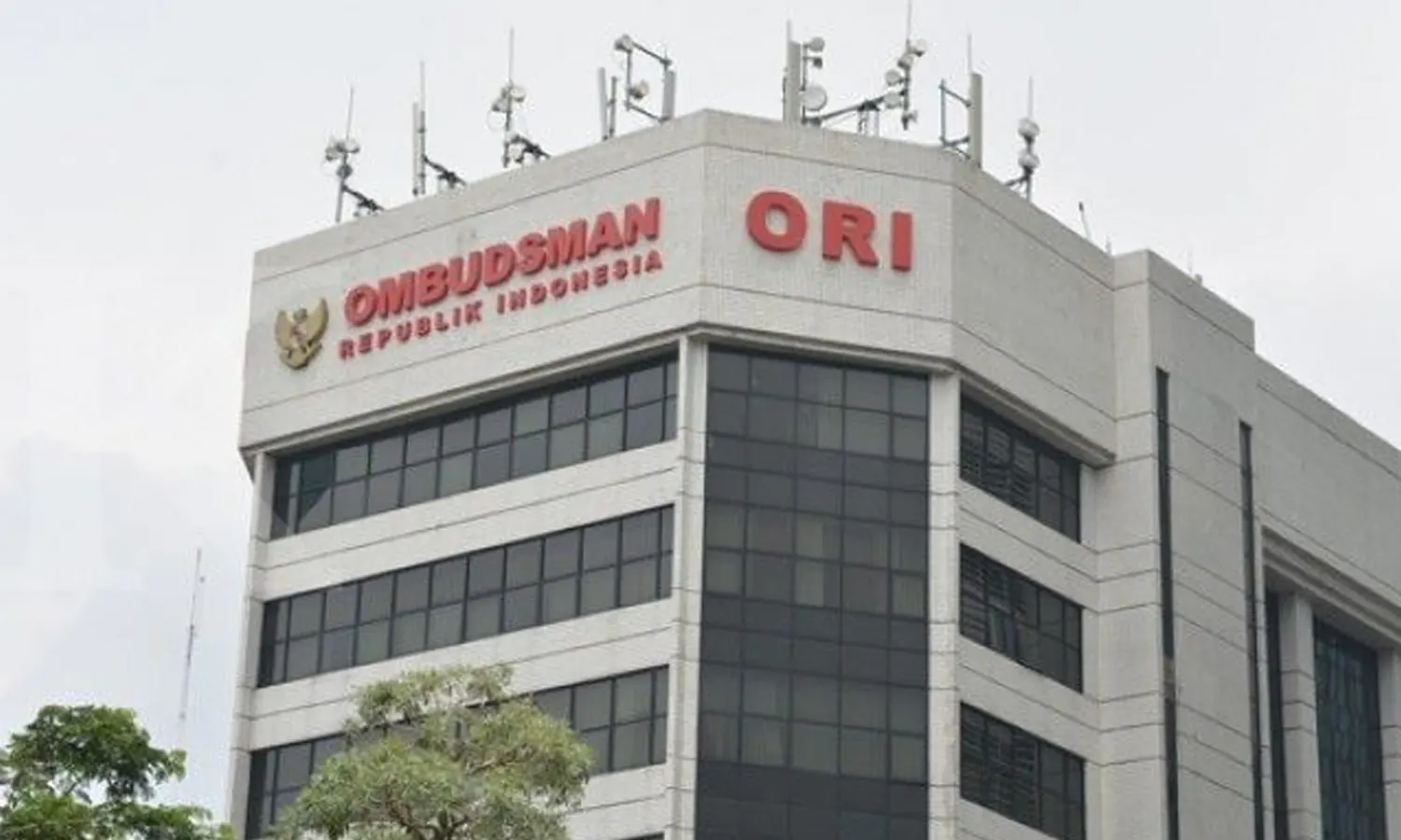 Ombudsman Desak Pemerintah Tetapkan KLB pada Kasus Gagal Ginjal Akut