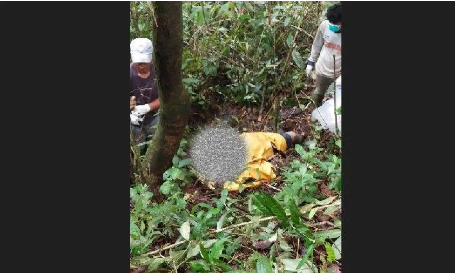 Dua Minggu Hilang, Marihot Siboro Ditemukan jadi Tulang Belulang di Hutan Dairi
