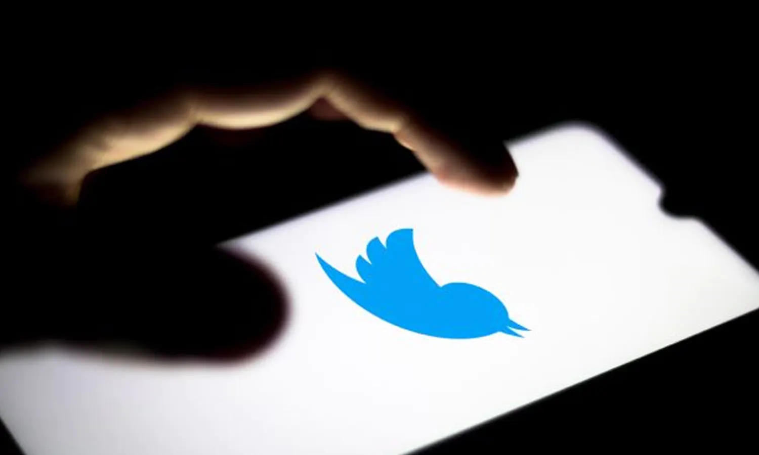 5 Cara Download Video di Twitter Tanpa Aplikasi, Mudah dan Praktis