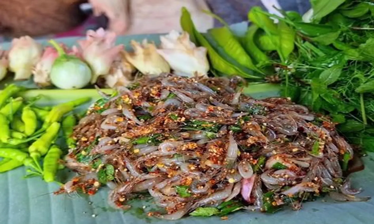 Udang Loncat atau Dancing Shrimp Khas Thailand: Cara Penyajian, Resep, dan Dampaknya bagi Kesehatan