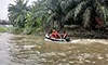 parboaboa