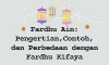 parboaboa