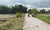 parboaboa