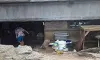 parboaboa