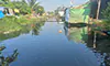 parboaboa