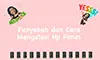 parboaboa