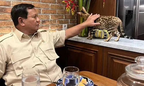 Era Baru Kebijakan Ekonomi, Prabowo Dorong Swasembada demi Ketahanan Nasional